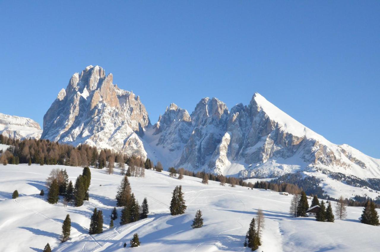 Hotel Chalet Dlaces Selva di Val Gardena Dış mekan fotoğraf