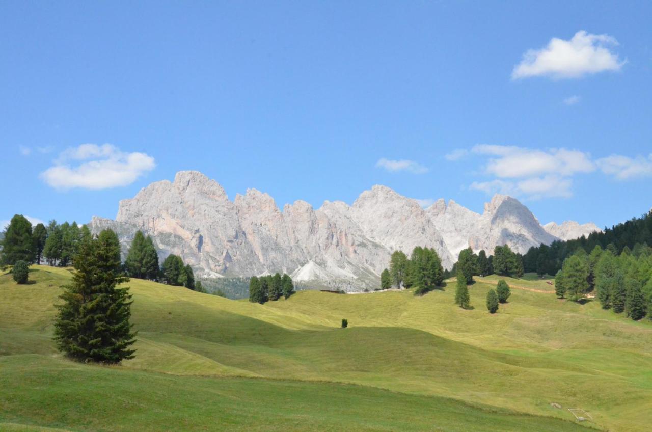 Hotel Chalet Dlaces Selva di Val Gardena Dış mekan fotoğraf